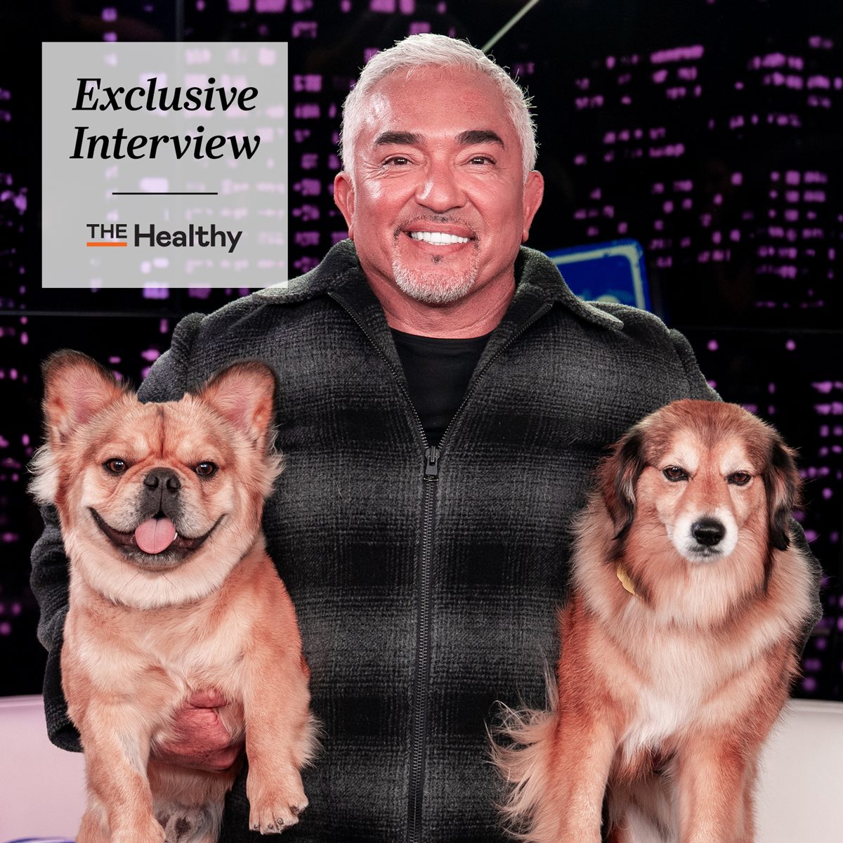 Th Exclusive Interview Cesar Millan